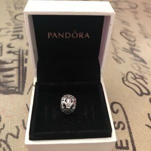 Pandora charm